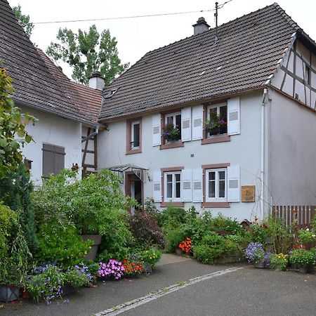 Maison D'Hotes La Renardiere Bed & Breakfast Reichshoffen Bagian luar foto