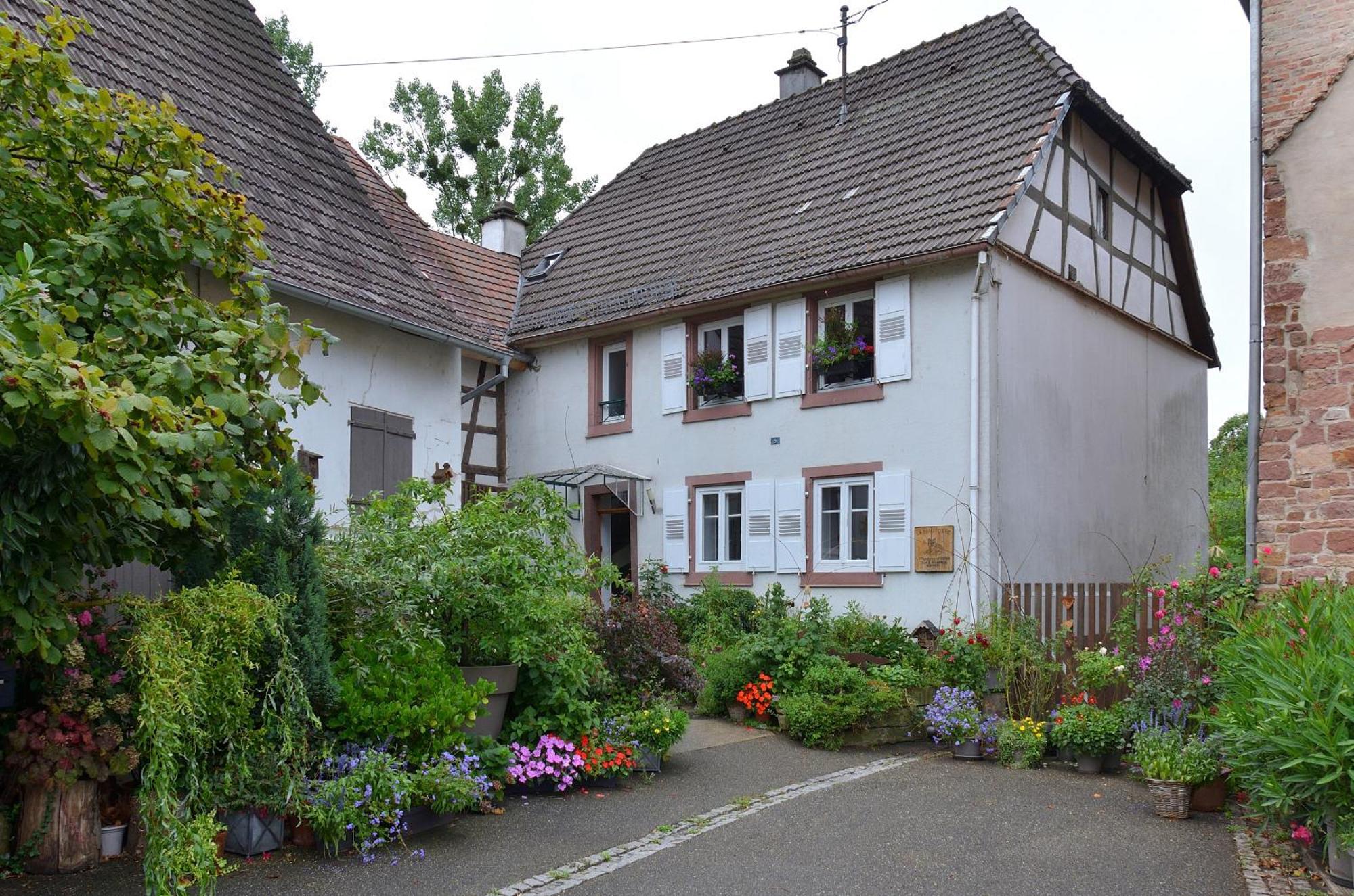 Maison D'Hotes La Renardiere Bed & Breakfast Reichshoffen Bagian luar foto