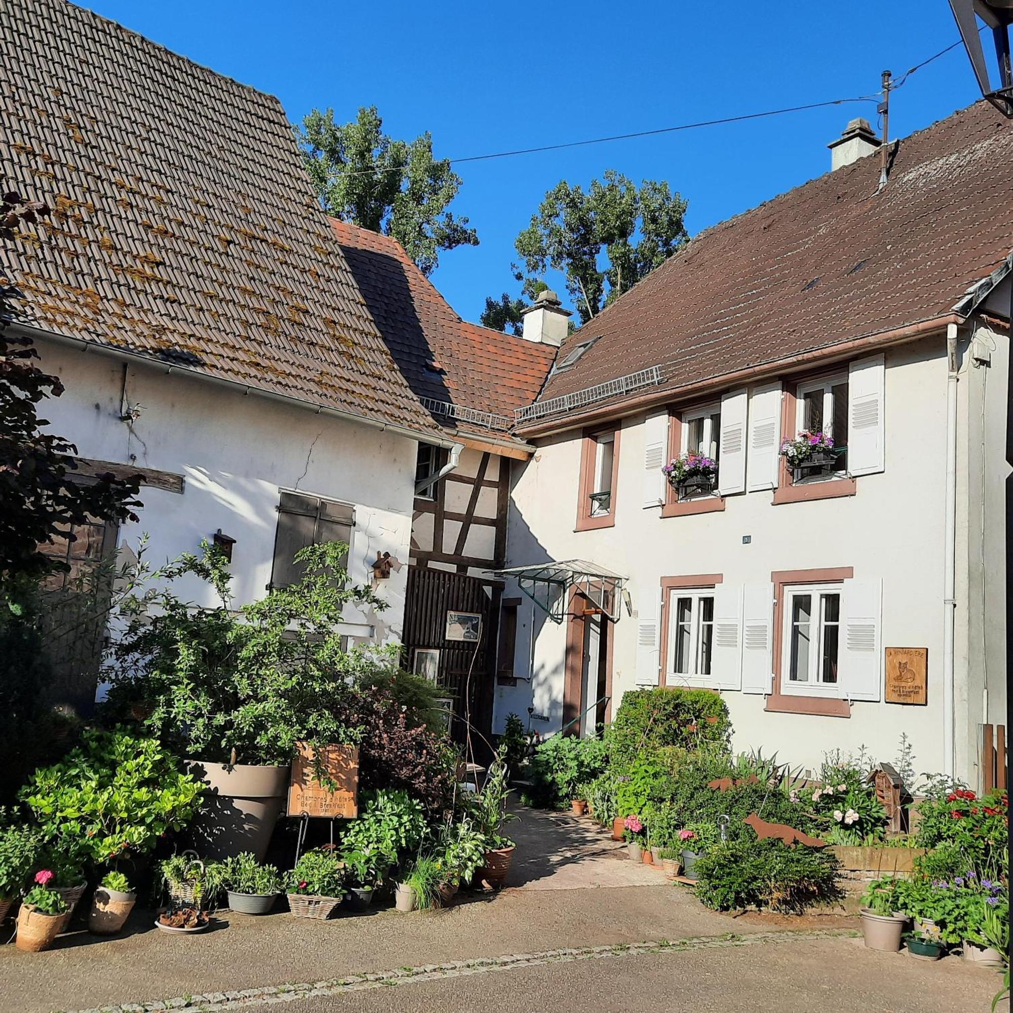 La Renardiere Reichshoffen Bagian luar foto